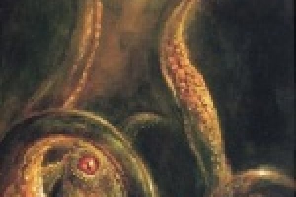 Кракен не заходит